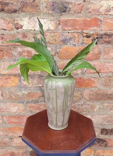 Olive ateliers inspired - ateliers, vase