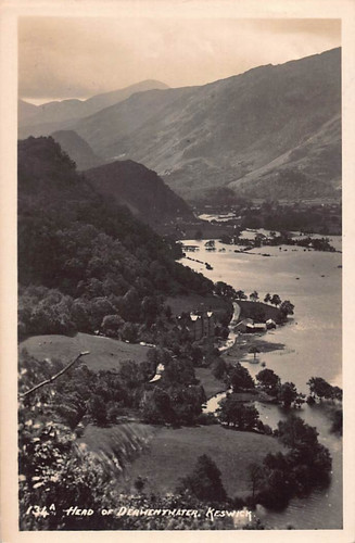 Family history postcard - postcard,