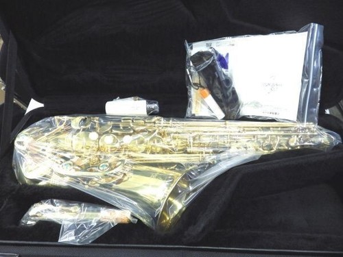 Yanagisawa wo1 alto - yanagisawa,