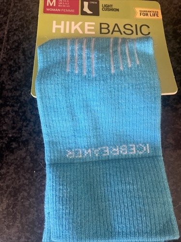 Nwt icebreaker women socks - nwt,