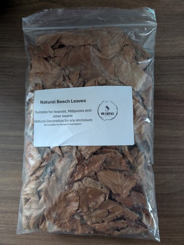 Beech leaves for inverts