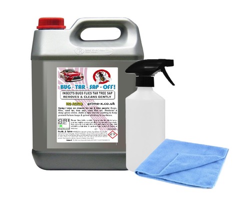 Car cleaner bugs - car,