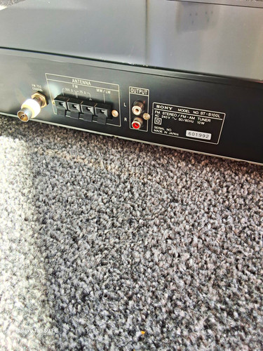 Sony s100l fm digital - st-s100l,