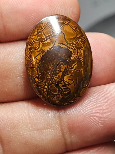 7cts australian yowah - 25.7cts,