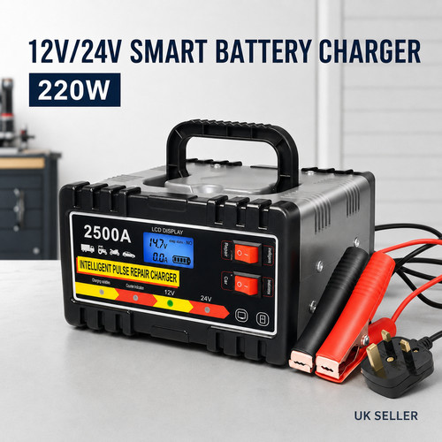 12v 24v automatic - 24v,