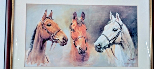 Three kings horse - horse, racing