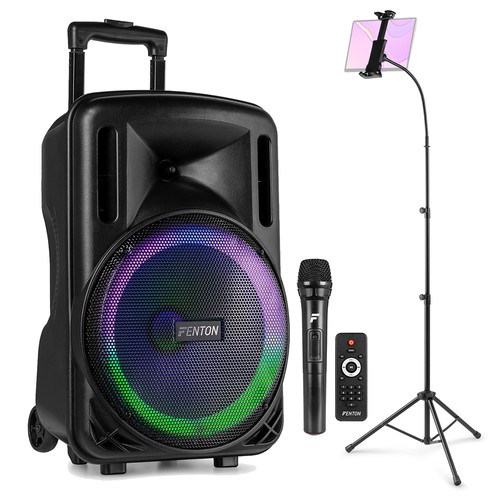 Karaoke speaker system - 12",
