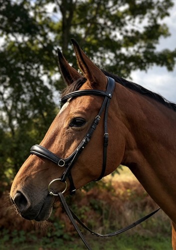 Switch 3in1 bridle - 3in1,
