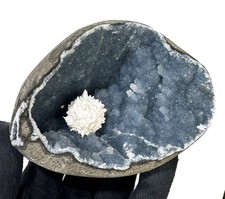 Mordenite In Quartz Coral