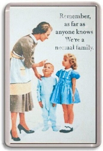 Fridge magnet re - fridge, normal