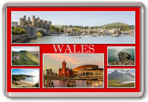 Fridge magnet wales large - fridge,