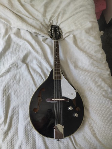 Tanglewood mandolin black and - tanglewood,