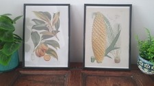 Set of 2 Large framed