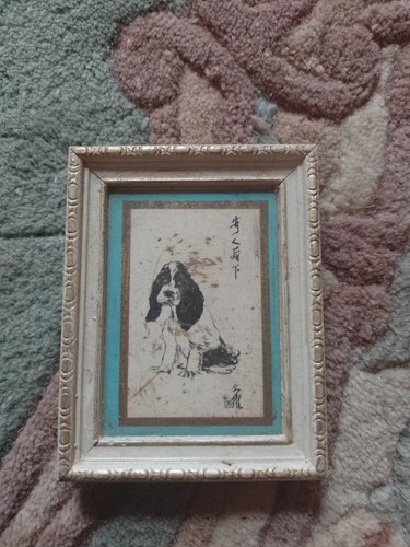 Madryn miniature spaniel - miniature,