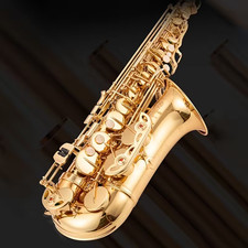 Professional Alto Saxophone