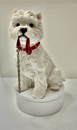 West highland white terrier - highland,