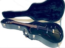 [] Godin 5th Avenue CW kingpin full acoustic hard case