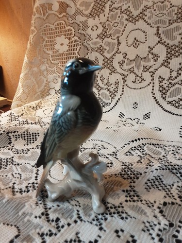 Karl ens bird - , pre