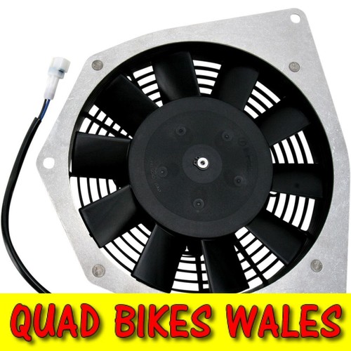 Yamaha yfm700r raptor 440cfm - yamaha,