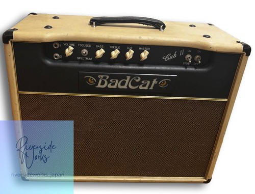 Bad cat cub guitar - cat,