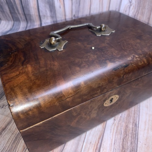 Burr walnut antique trinket - burr,