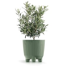 Plant Pots Indoor Outdoor