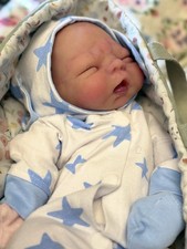 Reborn Silicone Doll Muffin