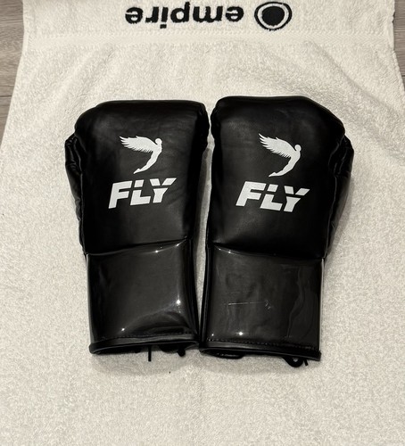 Fly kyo professional fight - fly,