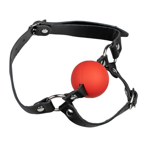 Head harness mouth - head,