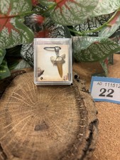 Genuine Fossil Sand Tiger