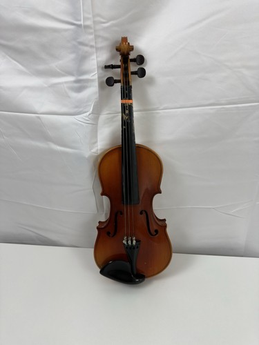 Violin fiddle in case - violin,