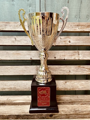Big silver trophy 20 - 🏆,