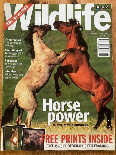 Bbc wildlife magazine june - bbc,