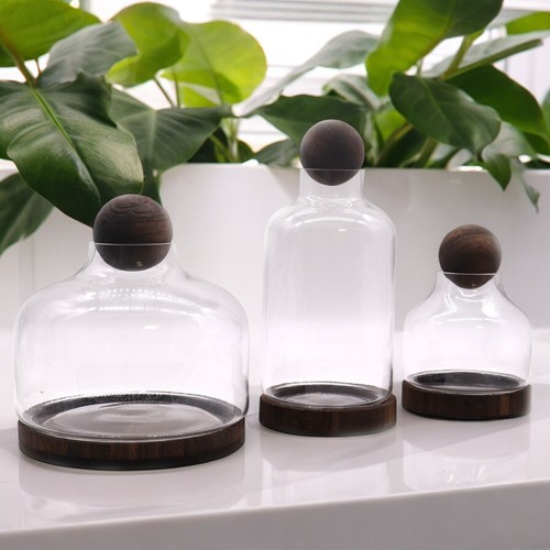 Ball top terrarium glass - terrarium, &