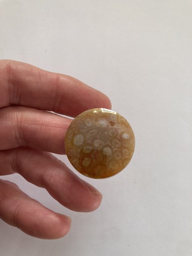 Fossil coral cabachon - fossil,