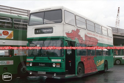 Bus photo crosville - photo,
