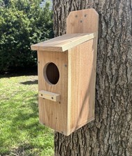 Large Cedar Owl Nesting Box
