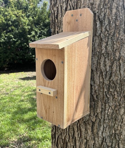 Large cedar owl nesting box - owl,