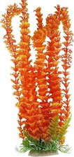 AquariumH2o Orange Fern