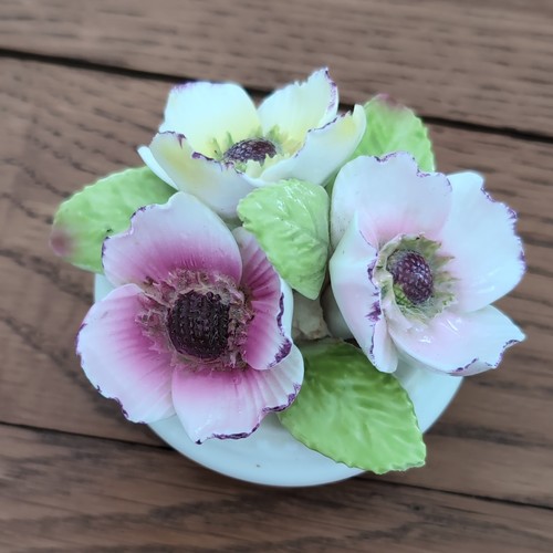 Coalport bone china floral - coalport,