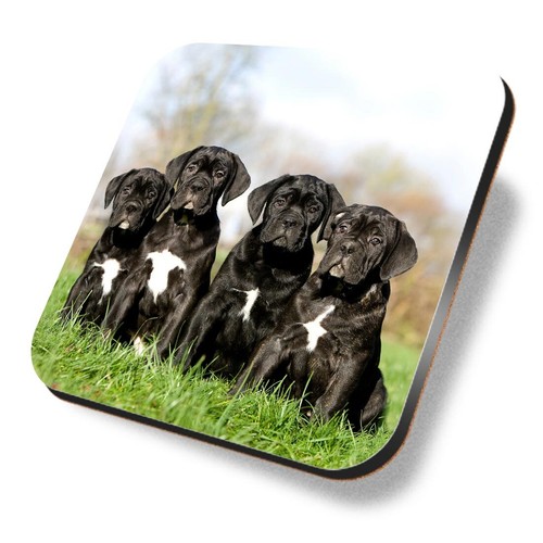 Square mdf coaster cane - mdf,