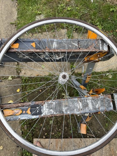 Bike wheels 700c campagnolo - bike,