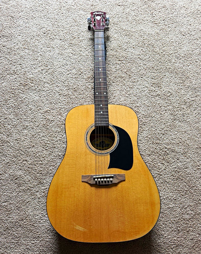 Washburn lynx string - lynx, 6-string