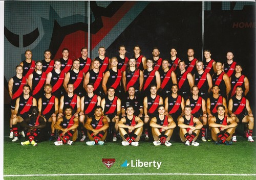Essendon bombers afl football - bombers,