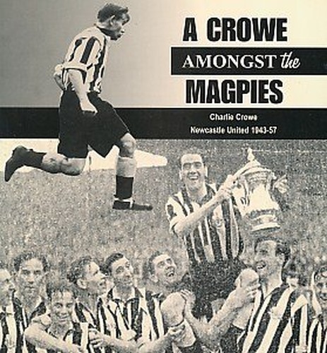 Crowe amongst the magpies - a,