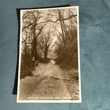 Vintage Postcard Springtime In Fairlight Glen Hastings 1931 H7