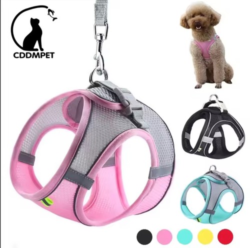 Puppy harness set - puppy, dog