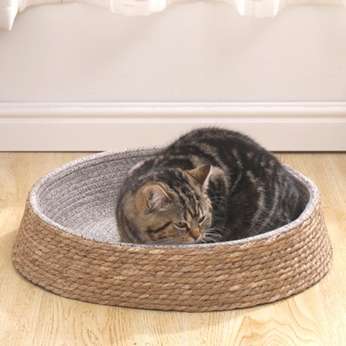 Pet sleeping bed dog - sleeping,