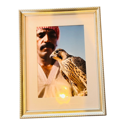 Falconry bird large framed art - bird,