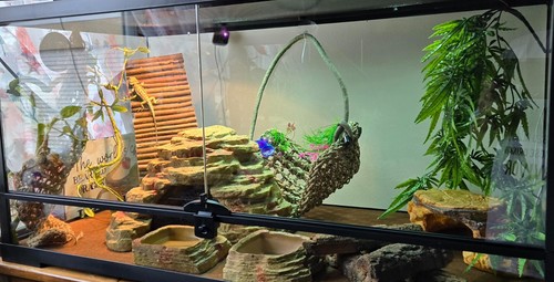Reptile tank accessories 10pcs - tank,